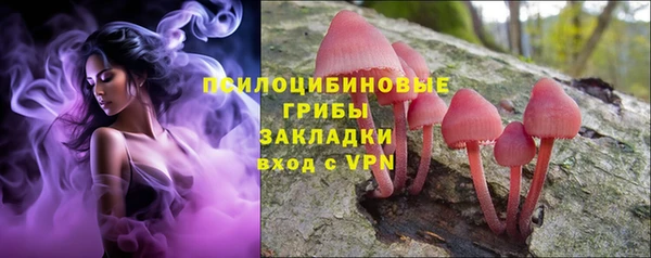 герыч Верхний Тагил