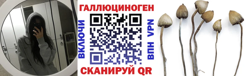 продажа наркотиков  Выборг  Псилоцибиновые грибы мухоморы 