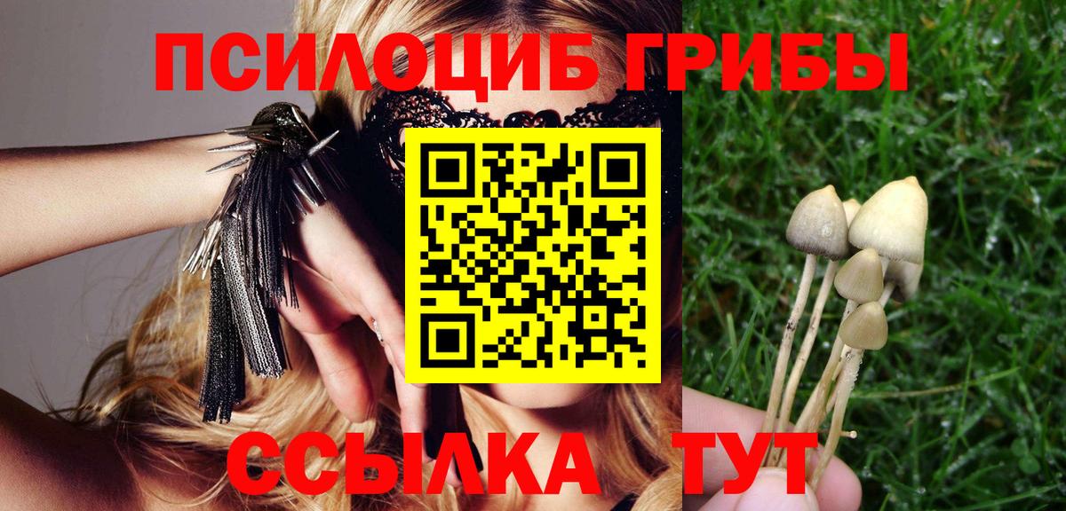 Каннабис  Кокаин  ГАШ  Выборг  ГАШИШ  Меф МЯУ МЯУ кристаллы  МЕФ  Вход с VPN 